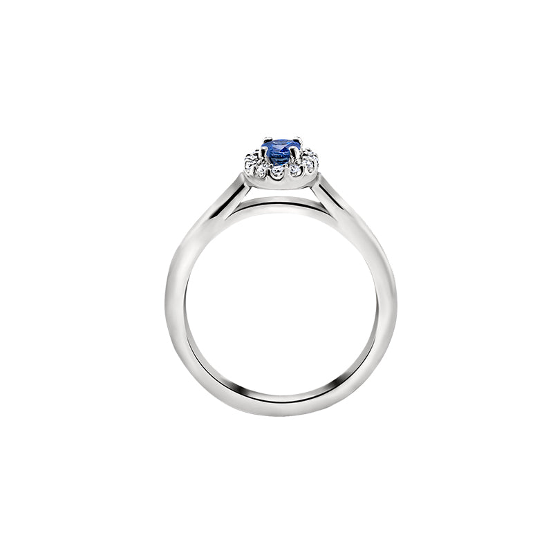 Giorgia Rose  <p>  Engagement Ring </p> <p> 18k White gold and Sapphire </p> <p> <FONT SIZE=2>  Cgr001 </font> </p>